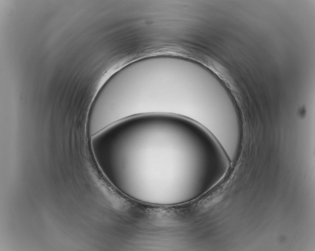 X0000090711234200707200944
