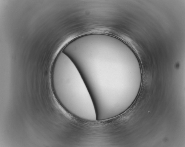 X0000090711235200707200944