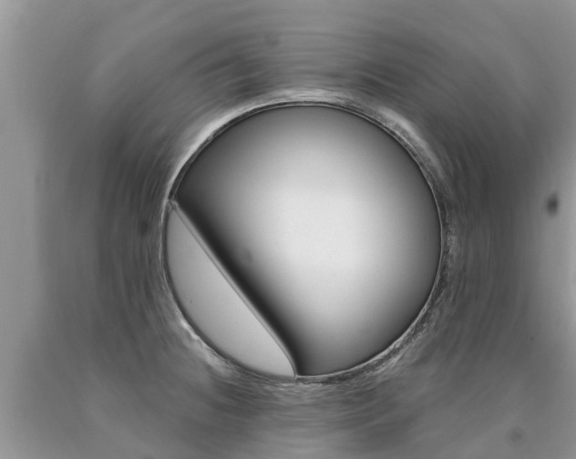 X0000090711236200707200944