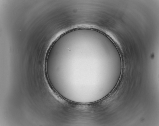 X0000090711237200707200944