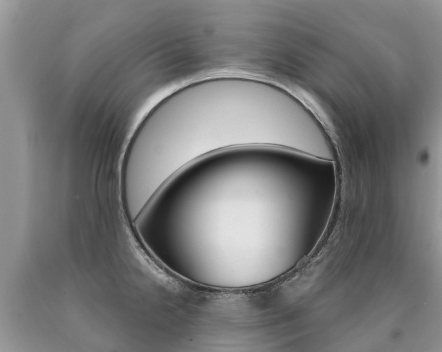X0000090711238200707200944