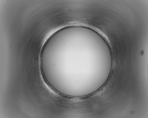 X0000090711239200707200944
