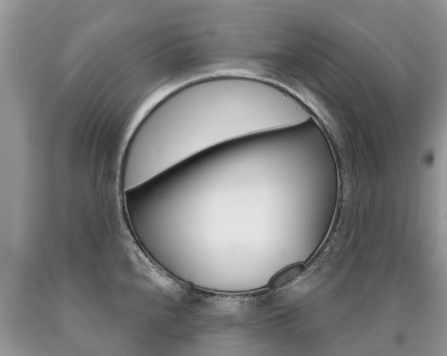 X0000090711240200707200944