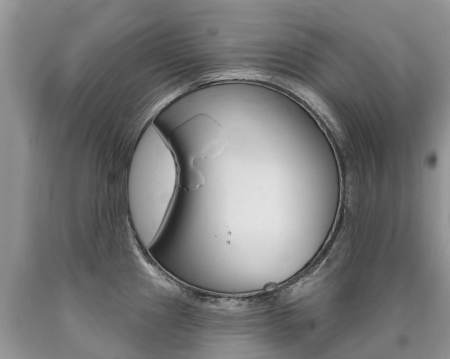 X0000090711241200707200944