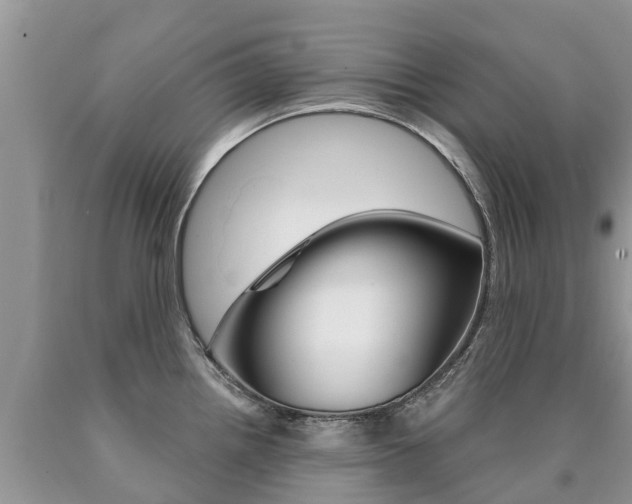 X0000090711242200707200944