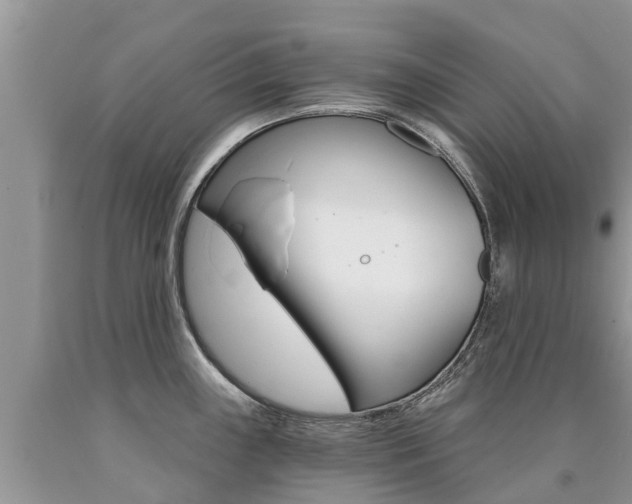 X0000090711243200707200944