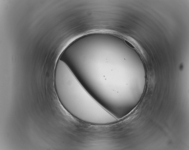 X0000090711244200707200944