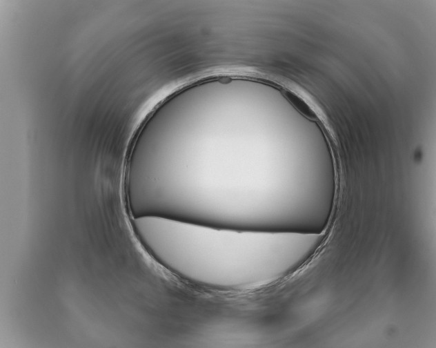 X0000090711245200707200944