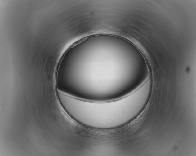 X0000090711246200707200944