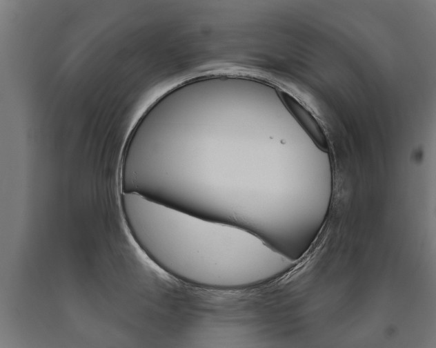 X0000090711247200707200944