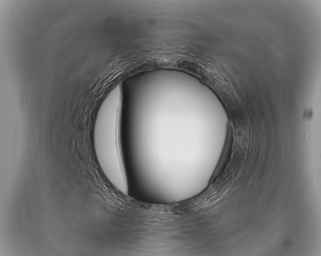 X0000090711249200707200943