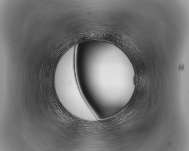 X0000090711250200707200943