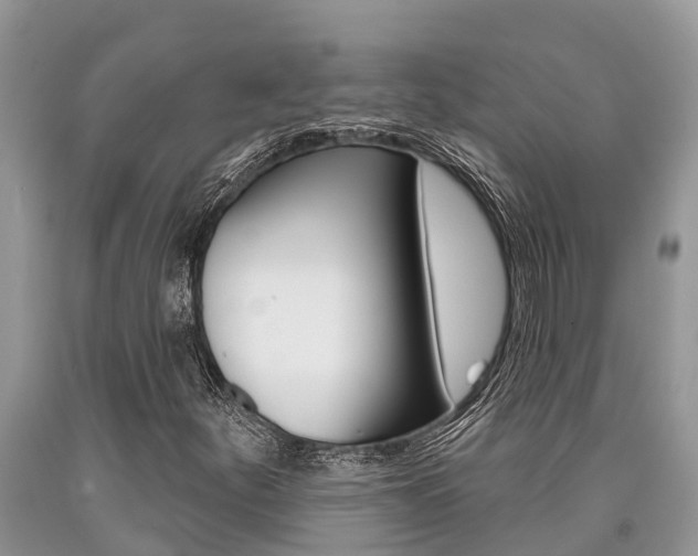 X0000090711252200707200943