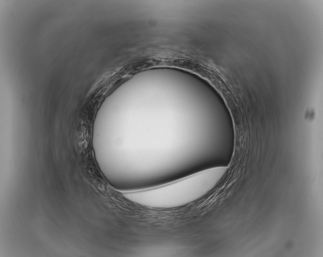 X0000090711253200707200943