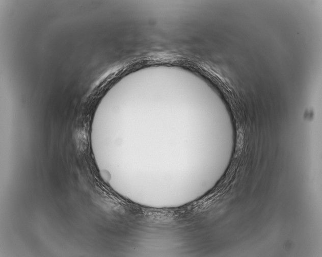 X0000090711254200707200943