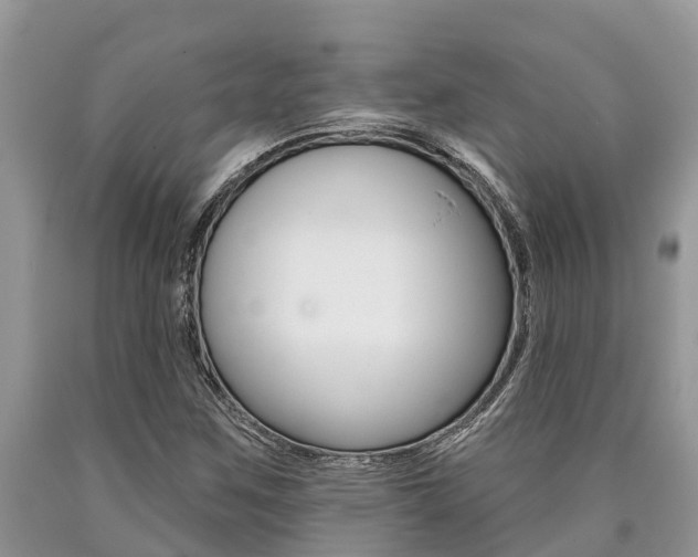 X0000090711259200707200943
