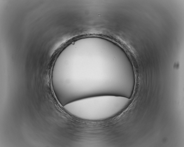 X0000090711262200707200943