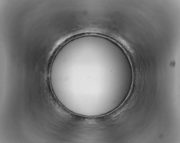 X0000090711264200707200943