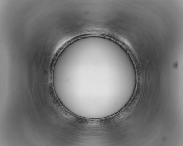 X0000090711267200707200943
