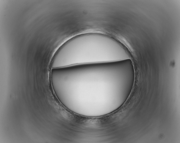X0000090711268200707200943