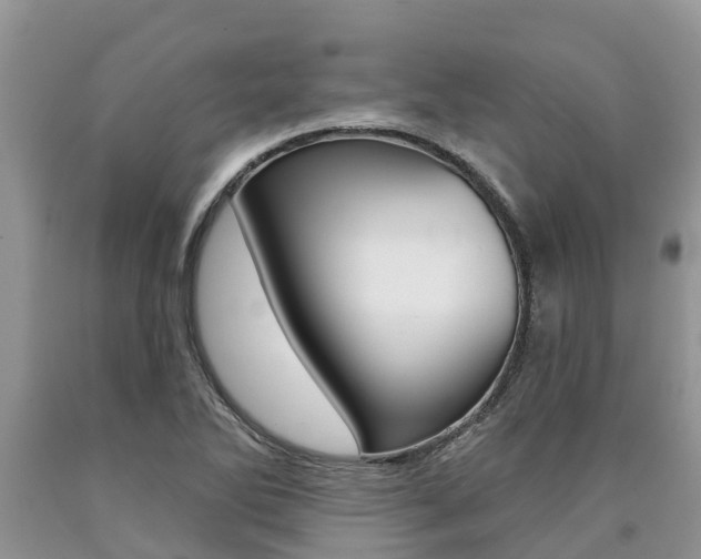 X0000090711270200707200943