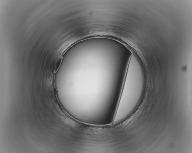 X0000090711273200707200943