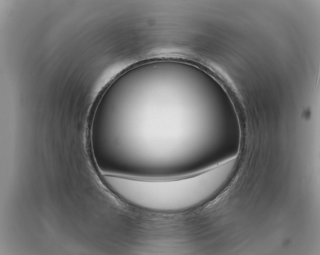 X0000090711277200707200943