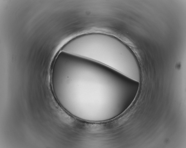 X0000090711280200707200943