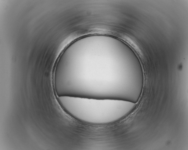 X0000090711283200707200943