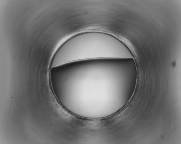 X0000090711288200707200943