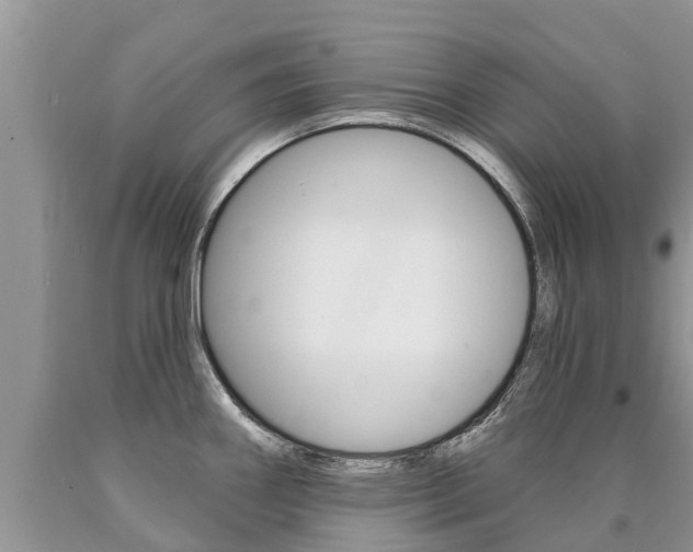 X0000090711290200707200943