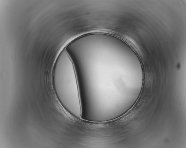 X0000090711292200707200943