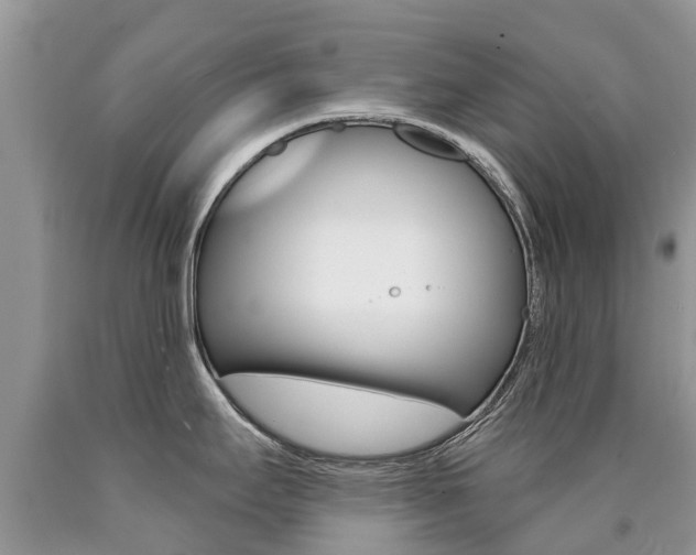 X0000090711295200707200943