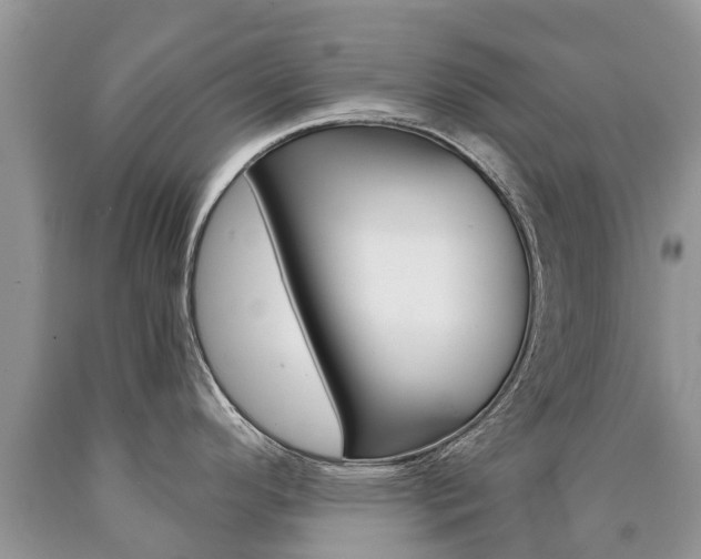 X0000090711296200707200943