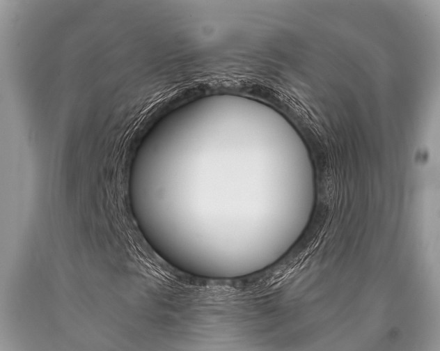 X0000090711297200707200942