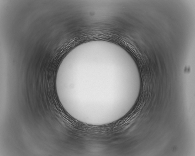 X0000090711298200707200942