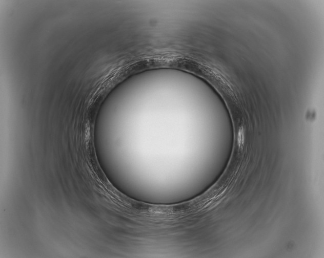 X0000090711299200707200942