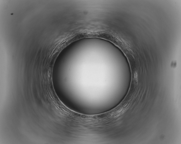 X0000090711300200707200942