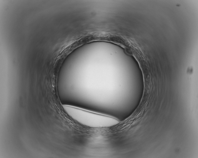 X0000090711301200707200942