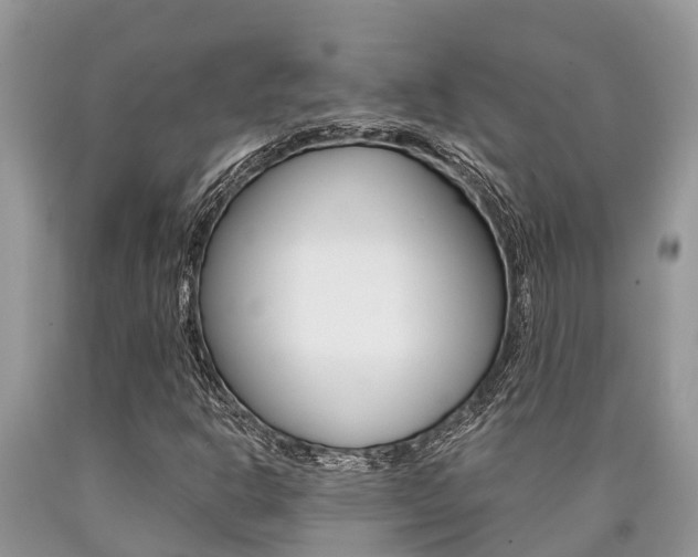 X0000090711302200707200942
