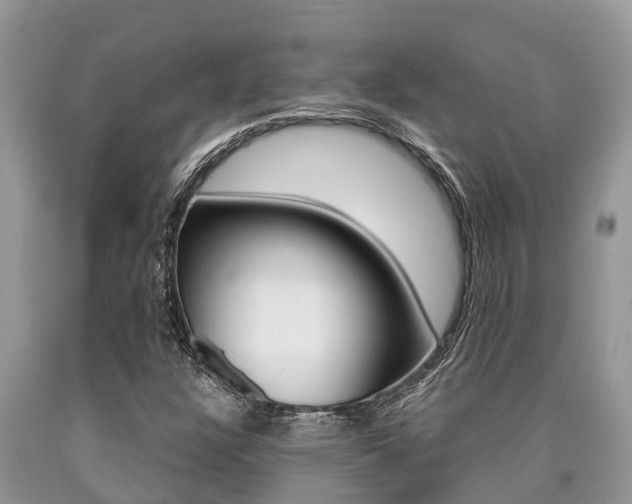 X0000090711304200707200942