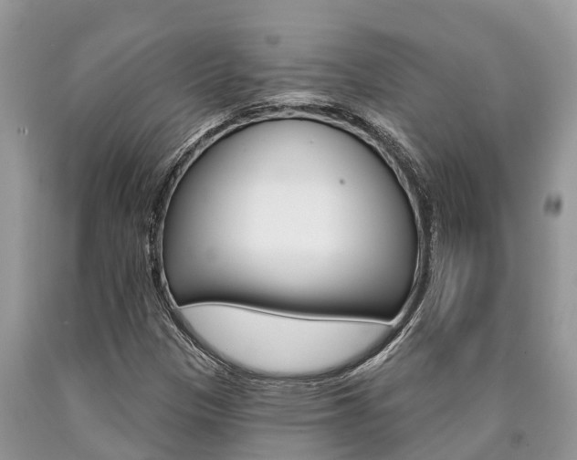 X0000090711305200707200942