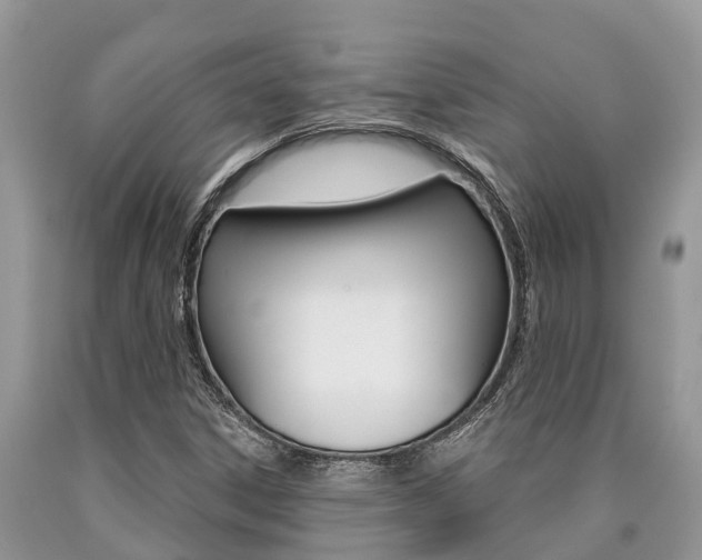 X0000090711306200707200942