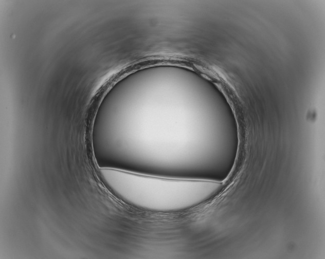 X0000090711307200707200942