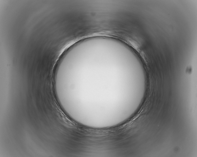 X0000090711308200707200942