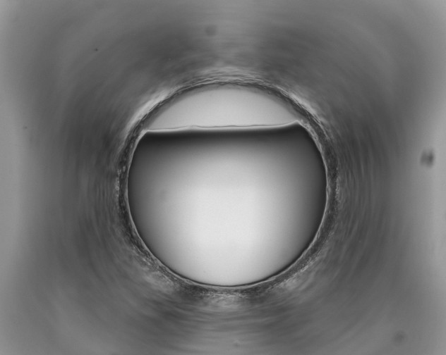 X0000090711309200707200942