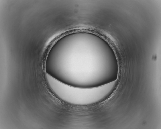 X0000090711310200707200942