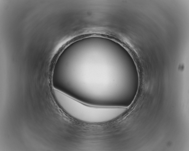 X0000090711312200707200942