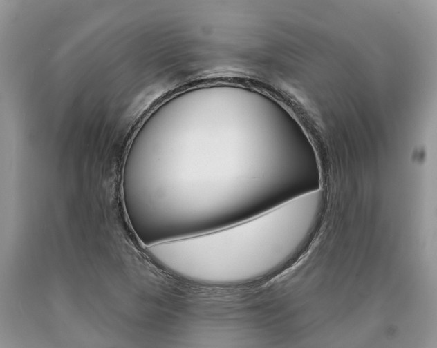 X0000090711313200707200942