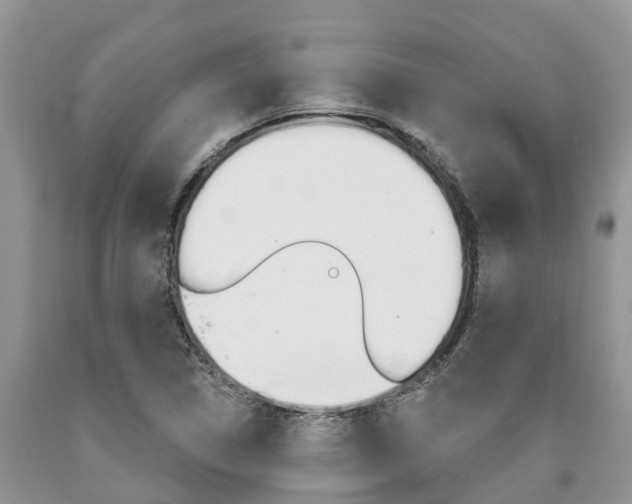 X0000090711314200707200942